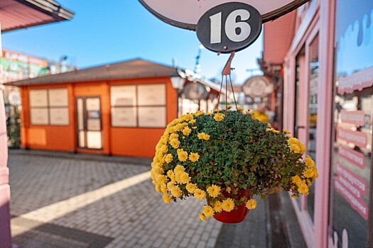 Антициклон удерживает тепло на Кубани: температура выше нормы на 5-6 градусов