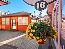 Антициклон удерживает тепло на Кубани: температура выше нормы на 5-6 градусов