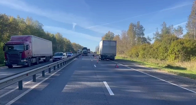 Мотоциклист попал под грузовик в Нижегородской области