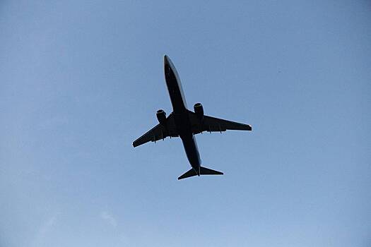 В России рассказали о переговорах по возобновлению авиасообщения с США