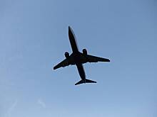 В России рассказали о переговорах по возобновлению авиасообщения с США