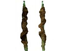 Давно утраченная древнеегипетская технология воссоздала эпоху зарождения цивилизации