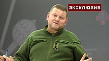 Экс-депутат Рады Царев спрогнозировал появление коалиции с Залужным в мае