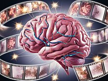 Врачи нашли ключ к здоровью мозга и лечении заболеваний в среднем возрасте