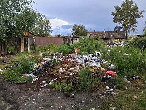 Фото тех, кто создают свалки в Чите, предложила развешивать по городу Щеглова