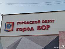 13-летний Илья Комаров пропал на Бору