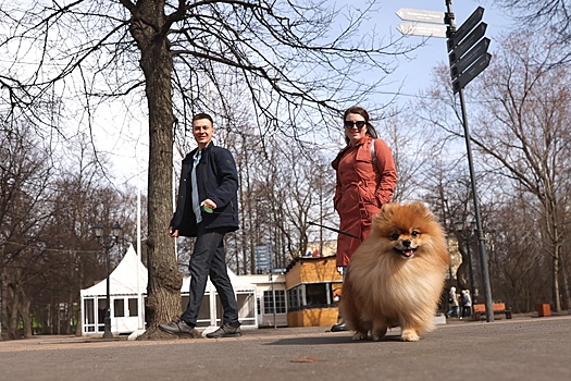 В России набирают популярность продукты страхования домашних животных