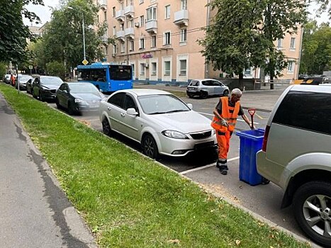 Вдоль Мирского переулка убрали опавшие листья