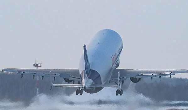 В России предложили ограничить число самолетов Airbus и Boeing