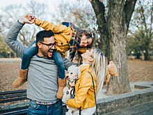 Чем заняться в ноябре? Главные забеги, премьеры, чемпионаты, фестивали.