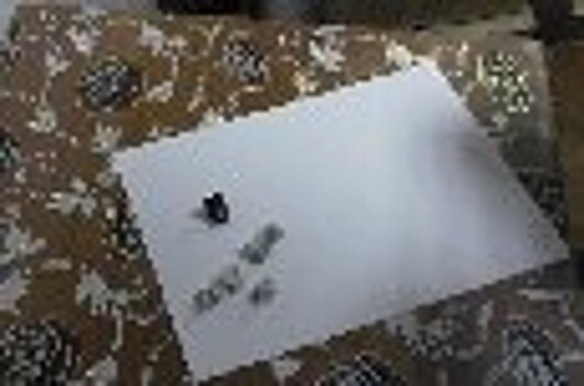 Наркотические вещества не попали в СИЗО-2 ГУФСИН России по Приморскому краю