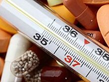 Екатеринбург ждет холодное лето 2017-го с легионеллой