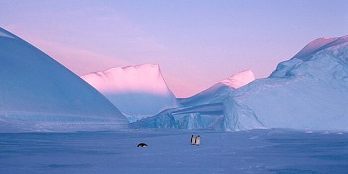 Ученые впервые нашли бактерии в Антарктиде