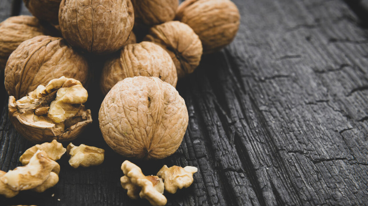 Можно собаке грецкий орех. Орех грецкий (Juglans Regia). «Железного ореха» Juglans sigillata. Грецкий орех «Садко». Орех махильхин.