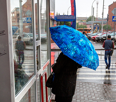 Кемеровские синоптики предупредили о дождях с грозами и туманом в понедельник