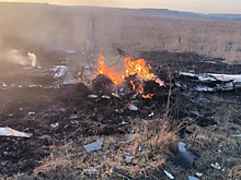 В Подмосковье упал легкомоторный самолет, погибли два человека