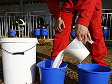 48% россиян страдают непереносимостью молока