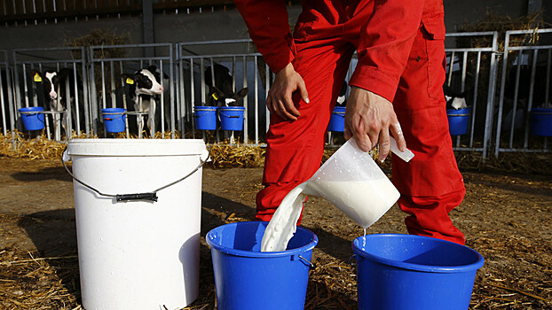48% россиян страдают непереносимостью молока