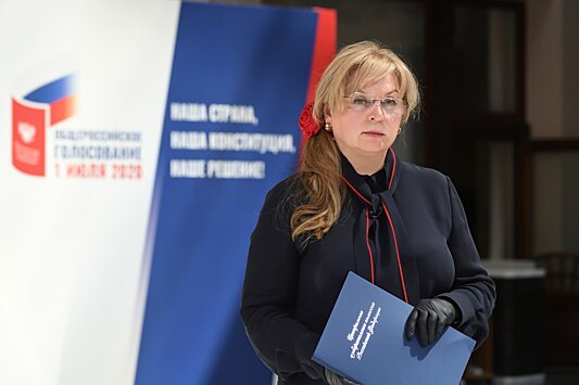 ЦИК обратится в СКР из-за конфликта интересов вице-губернатора Петербурга