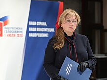 ЦИК обратится в СКР из-за конфликта интересов вице-губернатора Петербурга