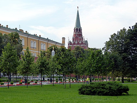 Чем поливают деревья в Москве