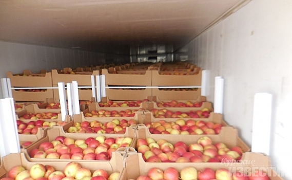 В Курскую область пропустили яблоки с калифорнийской щитовкой