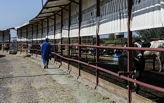 В Волгоградской области фермер обвиняется в крупном мошенничестве за присвоение госимущества