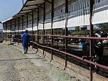 В Волгоградской области фермер обвиняется в крупном мошенничестве за присвоение госимущества