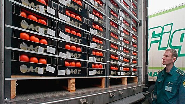 Турецкие помидоры поступают в Россию через Грузию