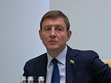Законопроект о праве регионов решать судьбу бездомных животных отозван из Госдумы