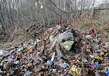 На Ольхоне волонтеры собрали 156 мешков мусора