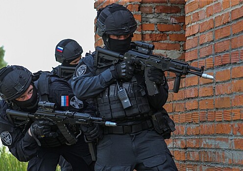 Губернаторам могут разрешить создавать вооруженные отряды