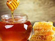 Башкирия закупила лабораторию для исследования меда на экспорт