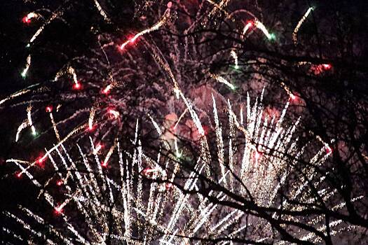 Запустивший фейерверк в толпу россиян мужчина раскрыл причину своих действий