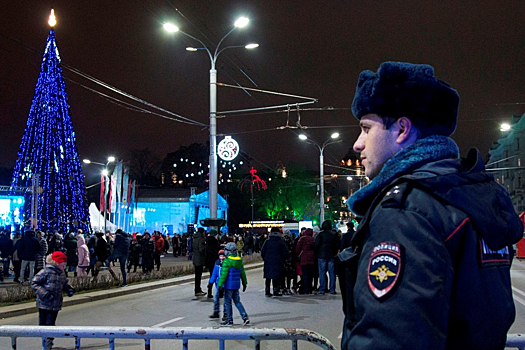 Более 3,5 тысячи человек обеспечат правопорядок на Дону в период новогодних праздников