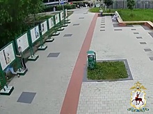 В Нижегородской области школьники разгромили пушкинскую выставку