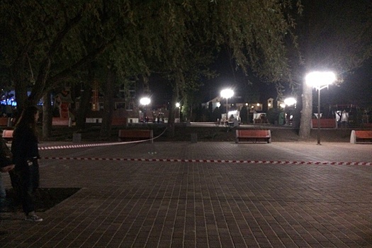 Новый парк на левом берегу Дона оцепили из-за подозрительного предмета