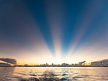 Море принесло к берегу тушу неопознанного существа