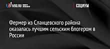 Фермер из Сланцевского района оказалась лучшим сельским блогером в России