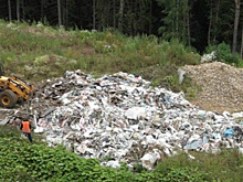 В Красногорске ликвидировали стихийную свалку