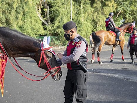 На&nbsp;Бали полиция задержала россиянку за&nbsp;истерику в&nbsp;магазине