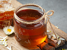 Названы 4 полезных свойства мёда