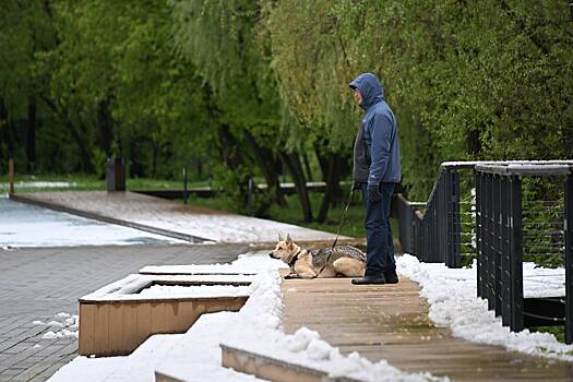 Москвичам раскрыли срок выпадения первого снега