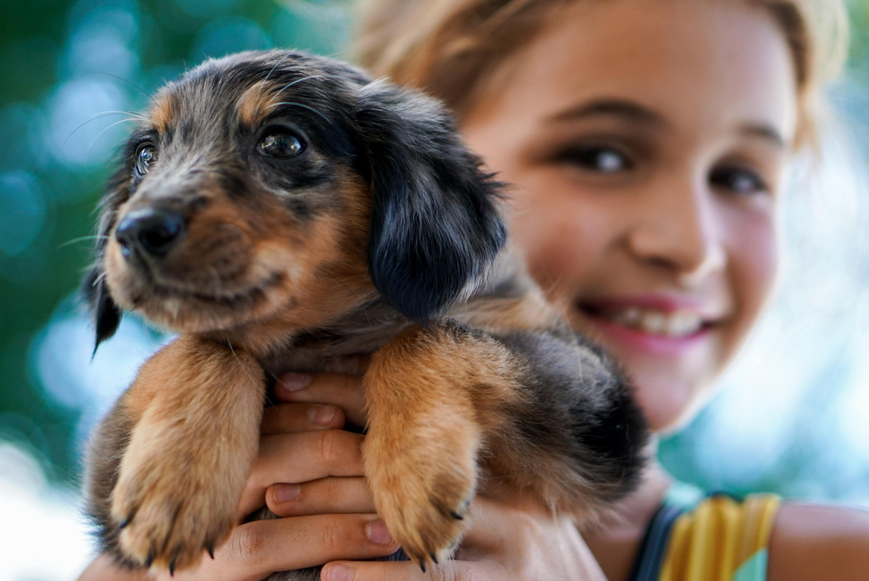 От какой болезни защищает жизнь с собакой в раннем возрасте