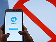В СПЧ раскритиковали Роскомнадзор из-за Telegram
