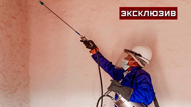 Эксперт перечислил меры безопасности при обработке дома от вредителей