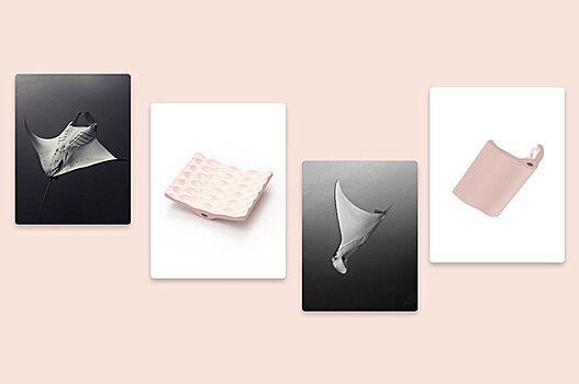 Звери в моей постели: секс-драйв мастурбатора «Скат» от Imtoy