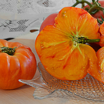 Опушенные, мясистые, супер сладкие и лежкие: новые сорта томатов, которые обязательно посею еще