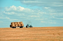 Российские аграрии увеличили закупки минудобрений в январе-июле на 17%