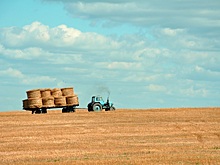 Российские аграрии увеличили закупки минудобрений в январе-июле на 17%